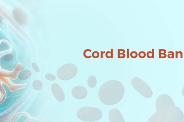 Cord Blood Banking